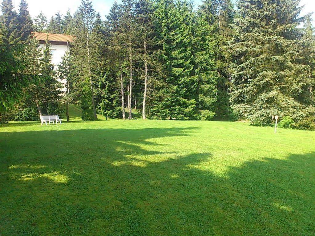 Waldhotel Berghof Luisenthal Eksteriør bilde
